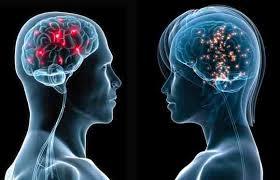 Empatia Związana z systemem neuronów lustrzanych Są to komórki nerwowe, które uaktywniają się w momencie, kiedy zwierzę wykonuje jakąś czynność i wtedy, gdy obserwuje tę samą czynność wykonywaną