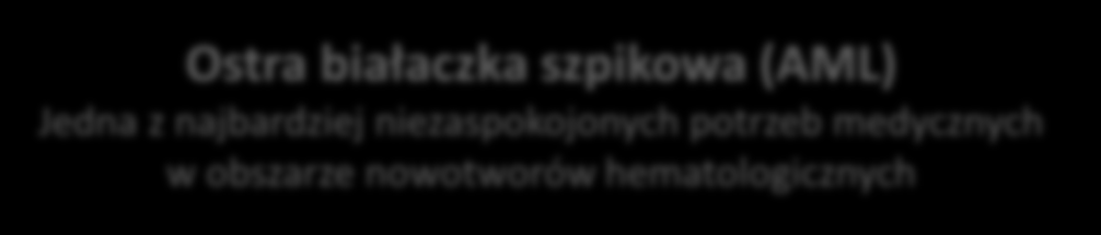 Kluczowe projekty Segmentu Innowacyjnego SEL24 (1/2) Ostra białaczka szpikowa (AML) Jedna z najbardziej niezaspokojonych potrzeb medycznych w obszarze nowotworów hematologicznych Test skuteczności