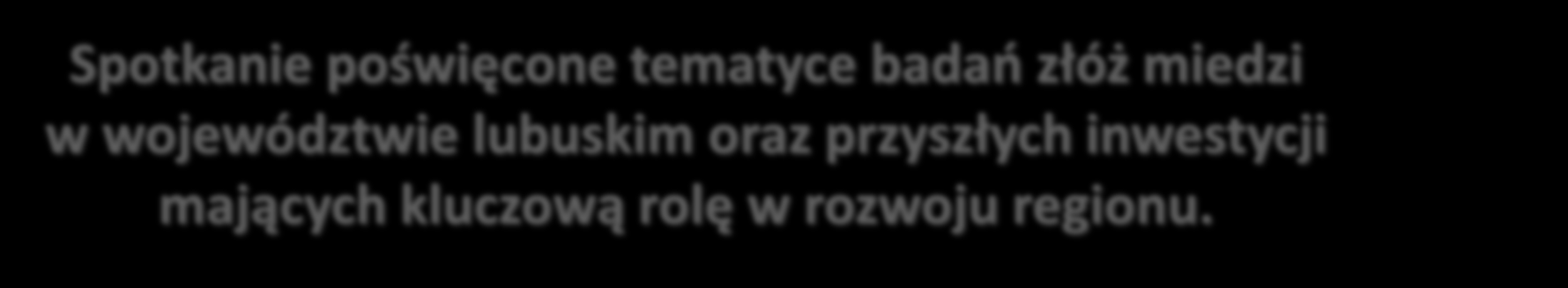 LUBUSKIE KOPALINY PRZYSZŁOŚCIĄ REGIONU OPZL w Zielonej Górze W rozmowach 6 marca br. udział wziął zastępca burmistrza Paweł Chylak.