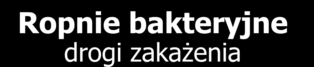 Ropnie bakteryjne drogi zakażenia Paciorkowce Gronkowce DROGI