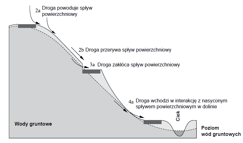 Brak pełnego rozpoznania oddziaływań (1) Zakłócanie naturalnego spływu/przepływ u