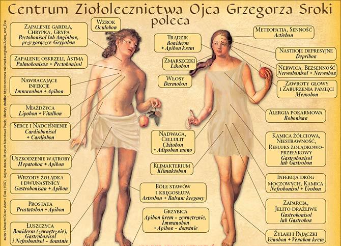 Wpływ roślin zielarskich na organizm człowieka pobudzają apetyt regulują trawienie