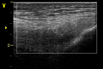 Metody diagnostyczne