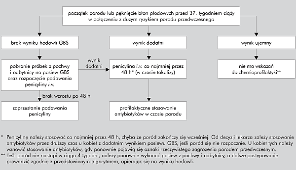 Rys. 2. Uproszczony algorytm profilaktyki zakaŝeń GBS u kobiet z zagraŝającym porodem przedwczesnym.