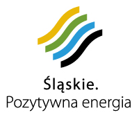CZERPIĄCY Z NIEGO KORZYŚCI FINANSOWE SAMOZATRUDNIONY Imiona i nazwisko Data i miejsce urodzenia PESEL E-mail Tel. komórkowy Tel. stacjonarny Miejsce zamieszkania 2 Miejscowość:. Ulica:... Nr domu:.
