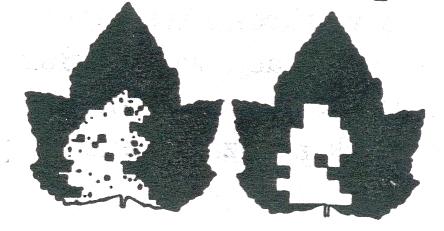 Rysunek 1.