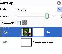 Maska warstwy jest przypisana na stałe do konkretnej warstwy i oddziałuje bezpośrednio na nią.