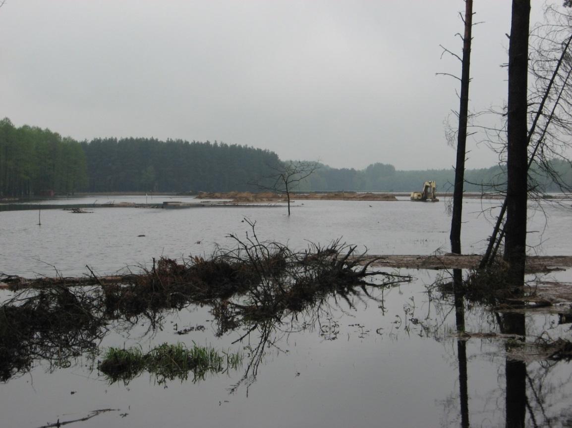 Na skutek niekorzystnych warunków atmosferycznych (bardzo niskich temperatur i grubej warstwy śniegu w pierwszym kwartale 2010 roku oraz przede wszystkim bardzo intensywnych opadów atmosferycznych