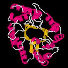 4 - beta - xylanase Triose-phosphate isomerase (TPI or TIM), is an enzyme (EC 5.3.1.