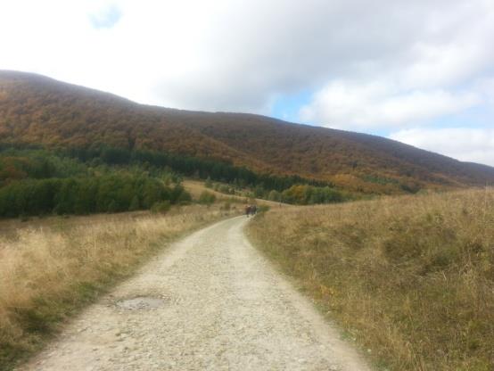 MIĘDZYNARODOWY REZERWAT BIOSFERY KARPATY WSCHODNIE NASZE WSPÓLNE DZIEDZICTWO Beneficjent: Bieszczadzki Park