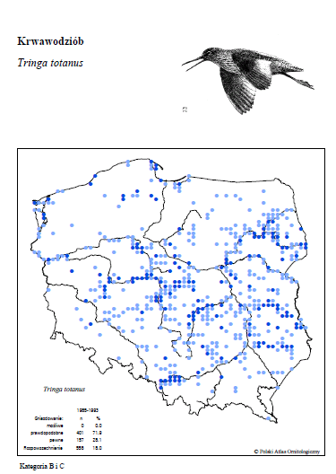 różniące się bogactwem gatunków mokradłowych, rozpowszechnienie (area of occupancy, AOO), AOO skorelowane z wielkością