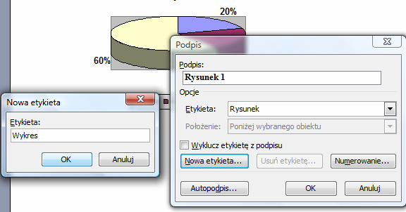 numerowanych podpisów pod rysunkami tabelami itd.