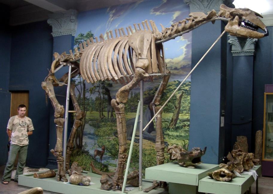 NAJWIĘKSZE ssaki wszechczasów oligoceńska fauna