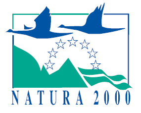 Porównywanie ewentualnych wariantów przedsięwzięcia w przypadku oddziaływania na obszar Natura 2000, zakłada w pierwszej kolejności wskazanie, czy któryś z wariantów wykazuje znaczące negatywne