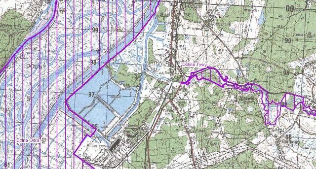 Mapa: Wirów na tle Specjalnego Obszaru Ochrony Dolina Tywy [PLH320050]