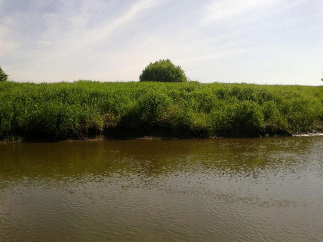 Szorstkość podłoża Pastwiska i trawy