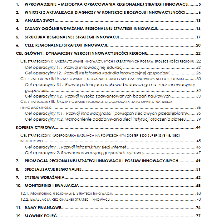 Spis treści projektu dokumentu Regionalnej Strategii