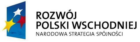 UMOWA Nr RARR/CZP/ /2015 ( PROJEKT UMOWY ) Zawarta w dniu, pomiędzy: Rzeszowską Agencją Rozwoju Regionalnego S.A. w Rzeszowie z siedzibą przy ul.