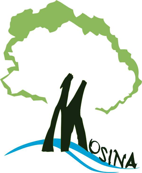 Wąska, Mosina DOśYNKI ROGALINEK ROGALINEK 10ºº 12ºº PLASTYKA DLA DZIECI POLA GRUNWALDU dzieci i młodzieŝ szkolna sala boczna 9ºº 11ºº ZAJĘCIA SPORTOWO REKREACYJNE uczniowie szkół Hala OSiR, zapisy
