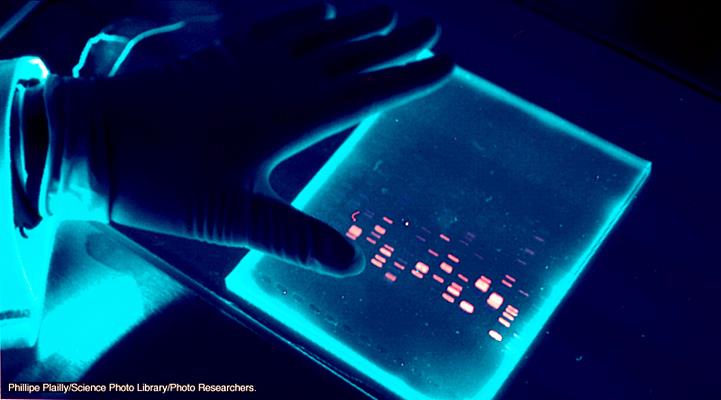 Teoria węzłów w opisie wędrówki fragmentów DNA w żelu elektroforetycznym.