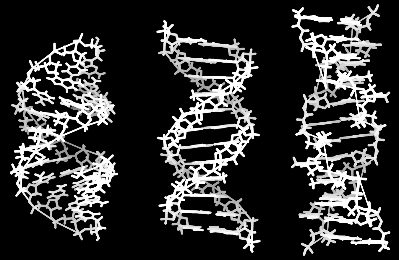 : Analiza topologiczna miejsca replikacji genów z nici łańcucha DNA, uwzgledniająca działanie enzymów powodujących lokalną zmianę lokalnego charakteru nici węzła DNA.