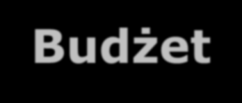 Budżet Na lata 2015 i 2016 200 mln euro Rocznie 50-70 wniosków otrzyma dofinansowanie W każdym cut-off date dofinansowanych zostanie około 20 projektów Budżet pojedynczego projektu: 1 3 mln euro (KE