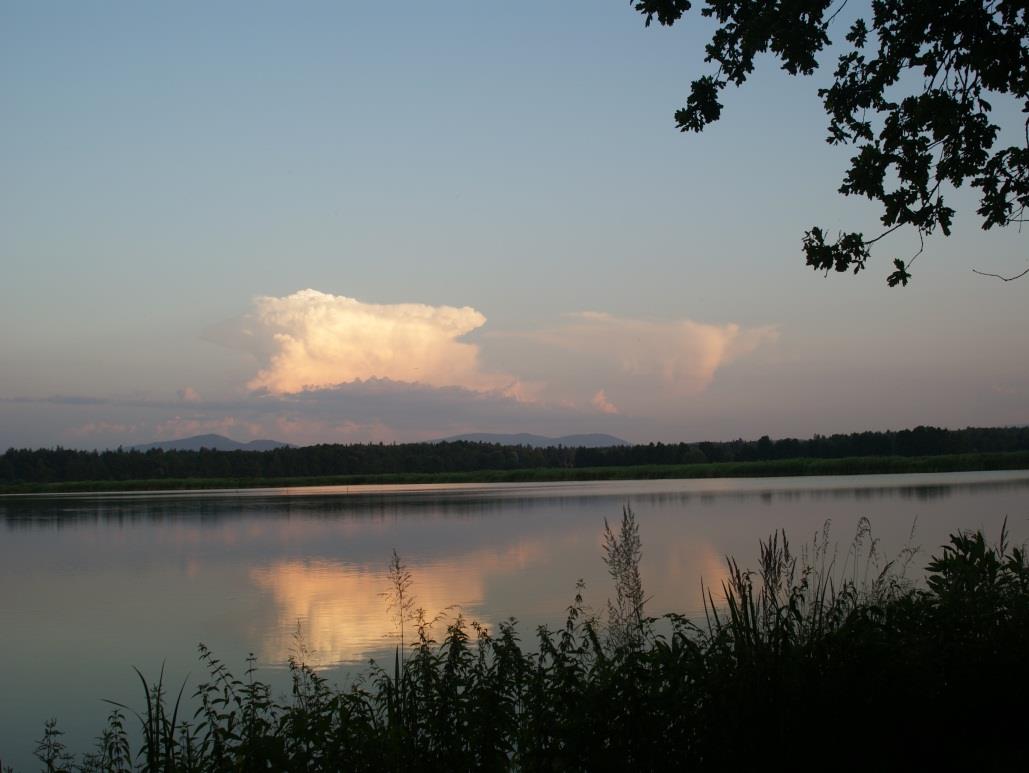 Obowiązki osób zajmujących się chowem i