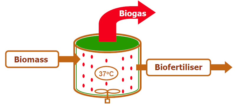 BIOGAZ- CZYSTY & NATURALNY PROCES Odzysk energii Odrzut 10-20% 42 C Odzysk składników odżywczych Przekształcanie