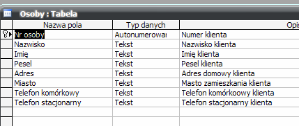 Tabele i ich atrybuty Nr DVD typ danych: autonumerowanie, rozmiar pola: liczba całkowita długa, nowe wartości: przyrostowy Tytuł polski typ danych: Tekst, rozmiar pola: 255, Tytuł oryginalny typ