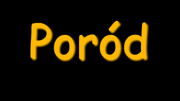 Poród