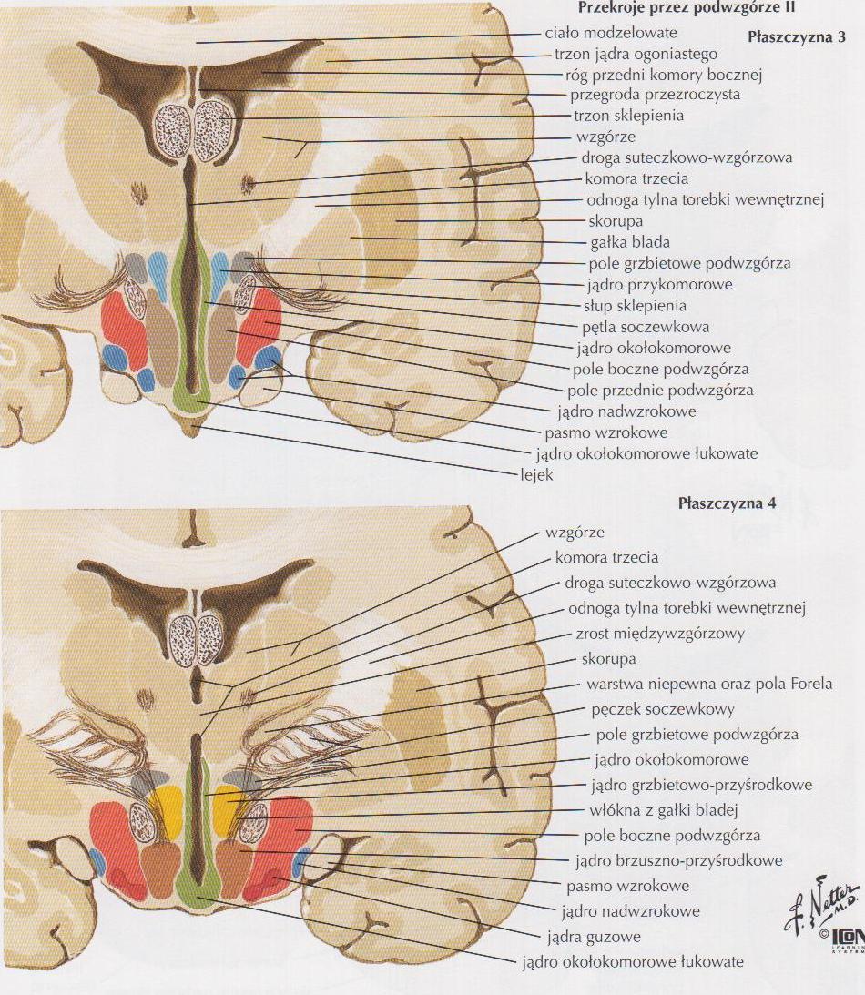 Ryc. 267.