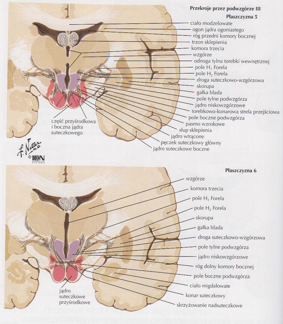 Ryc. 268.