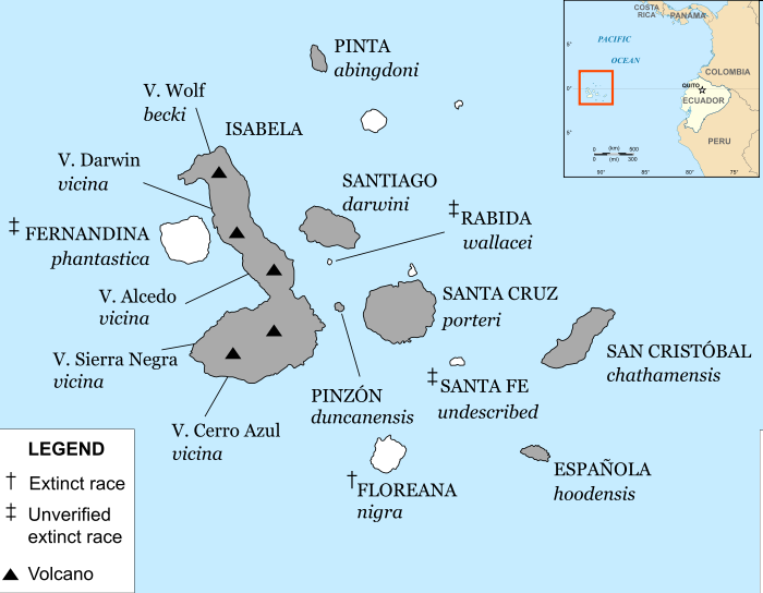 Archipelag wysp