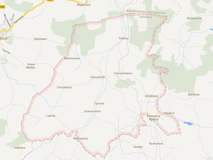 Dziennik Urzędowy Województwa Opolskiego 37 Poz. 1226 Gmina Kamiennik oniższa mapa pokazuje położenie gminy na tle owiatu Nyskiego. Mapa 8.