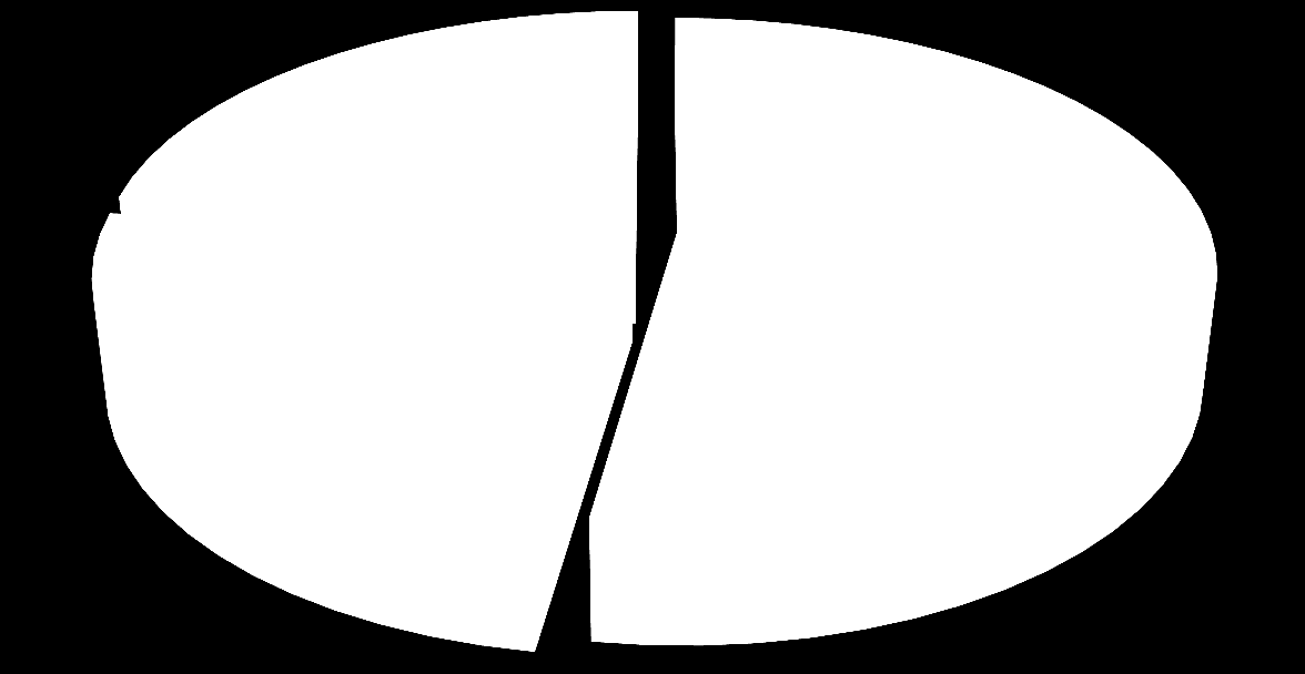 subregion zachodni (Rybnik) 24% Rys.