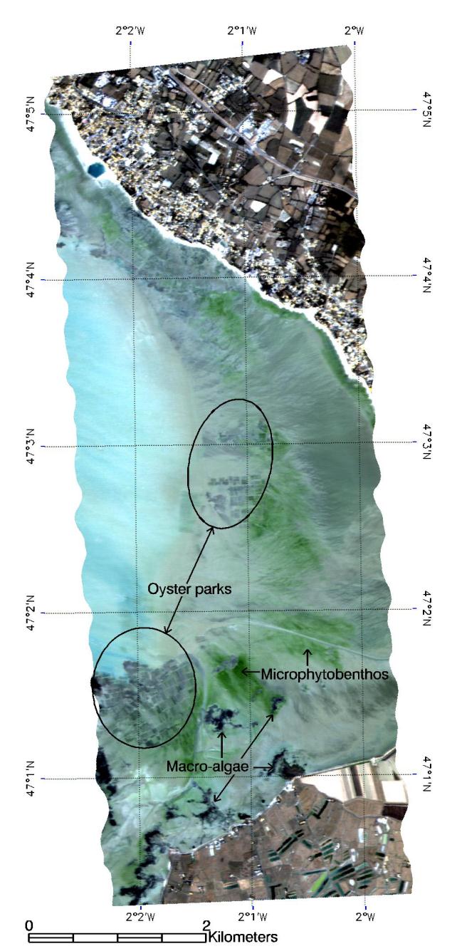 Kartowanie strefy przybrzeżnej Dry sand (bright target) Basin water (dark