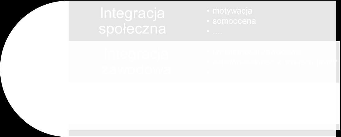 Opis narzędzia Ocena efektów społecznych dokonywana jest w