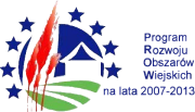 ANKIETA MONITORUJĄCA POSTĘP REALIZACJI LOKALNEJ STRATEGII ROZWOJU LGD DORZECZE BOBRZY ZALECENIA OGÓLNE 1.