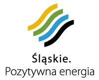 Strona1 Katowice, 19.02.2015r. dotyczy: projektu nr WND-POKL.09.06.02-24-073/12 pn.