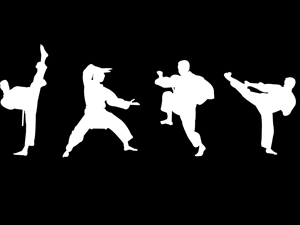 TYGRYS BIZNESU Event prowadzony przez MISTRZÓW TAI CHI znawców sztuk walki wschodu w podziale na Sesje.