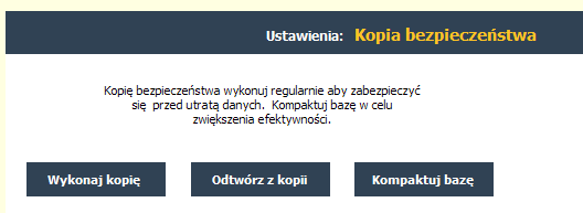 Kopia Aby zabezpieczyć się przed utratą danych w programie należy regularnie wykonywać kopie bezpieczeństwa. Częstotliwość wykonywania kopii zależy od ilości transakcji.