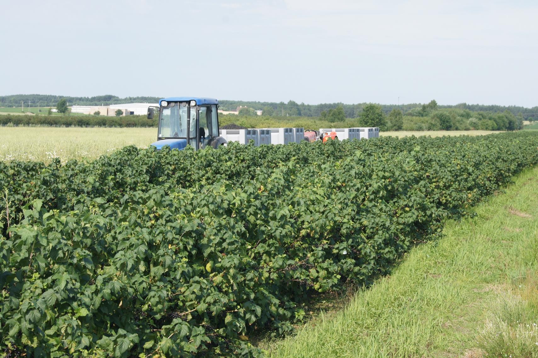 AKTUALNE ZALECENIA W INTEGROWANEJ