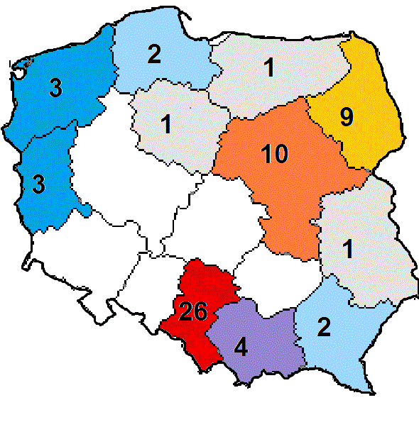 36 58% 26 42% Policja Straż Graniczna Źródło: opracowanie własne na podstawie danych Ministerstwa Spraw Wewnętrznych.