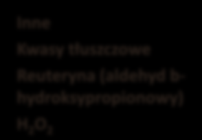 PRODUKTY METABOLIZMU LB O DZIAŁANIU ANTAGONISTYCZNYM Produkt Niespecyficzne Kwasy organiczne (mlekowy, octowy, 2-pirolidono-5-karboksylowy) Spektrum aktywności Większośd drobnoustrojów (szczególnie