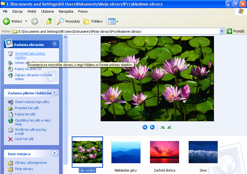 38 Windows XP Professional PL. Ćwiczenia praktyczne Rysunek 4.3. Zawartość jednego pliku jest wyeksponowana, pozostałe obrazy widziane są jako Odtwarzanie dźwięków i muzyki Ćwiczenie 4.4. Celem ćwiczenie jest odtworzenie plików audio zapisanrych w folderze Moja muzyka.