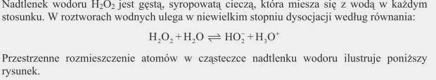 Rozumowanie i zastosowanie nabytej wiedzy do rozwiązywania problemów.