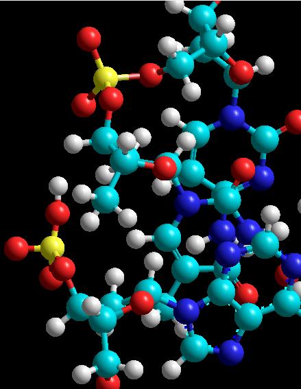 Spektroskopia Ramanowska wzmocniona na ostrzu sondy skanującej - wnioski Wiązanie pomiędzy atomami tlenu i węgla w kręgosłupie DNA