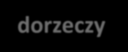Plany przeciwdziałania skutkom suszy Metodyka opracowania planów przeciwdziałania skutkom suszy Plany przeciwdziałania skutkom suszy w regionach wodnych Plany przeciwdziałania skutkom suszy na
