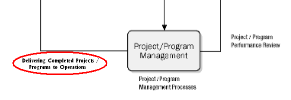 Rola projektów w organizacji