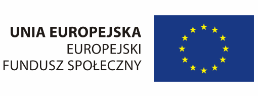 przeprowadzenie kursów zawodowych w ramach realizacji projektu systemowego pn.